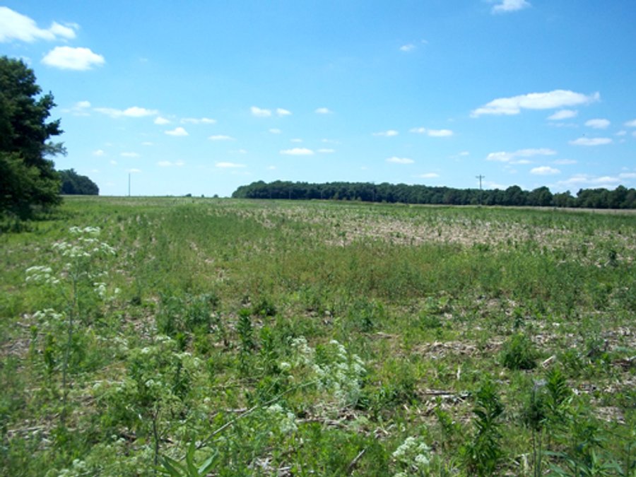 For sale: 18.373 Acres with Country Home - Centerville, IN